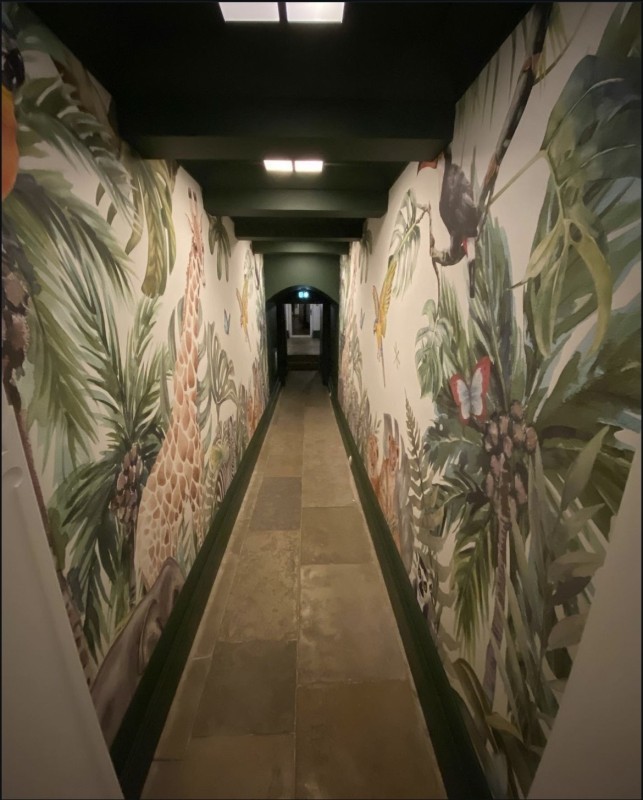 Pose de revêtements muraux avec papier peint panoramique pour embellir une pièce à Lyon et sa région
